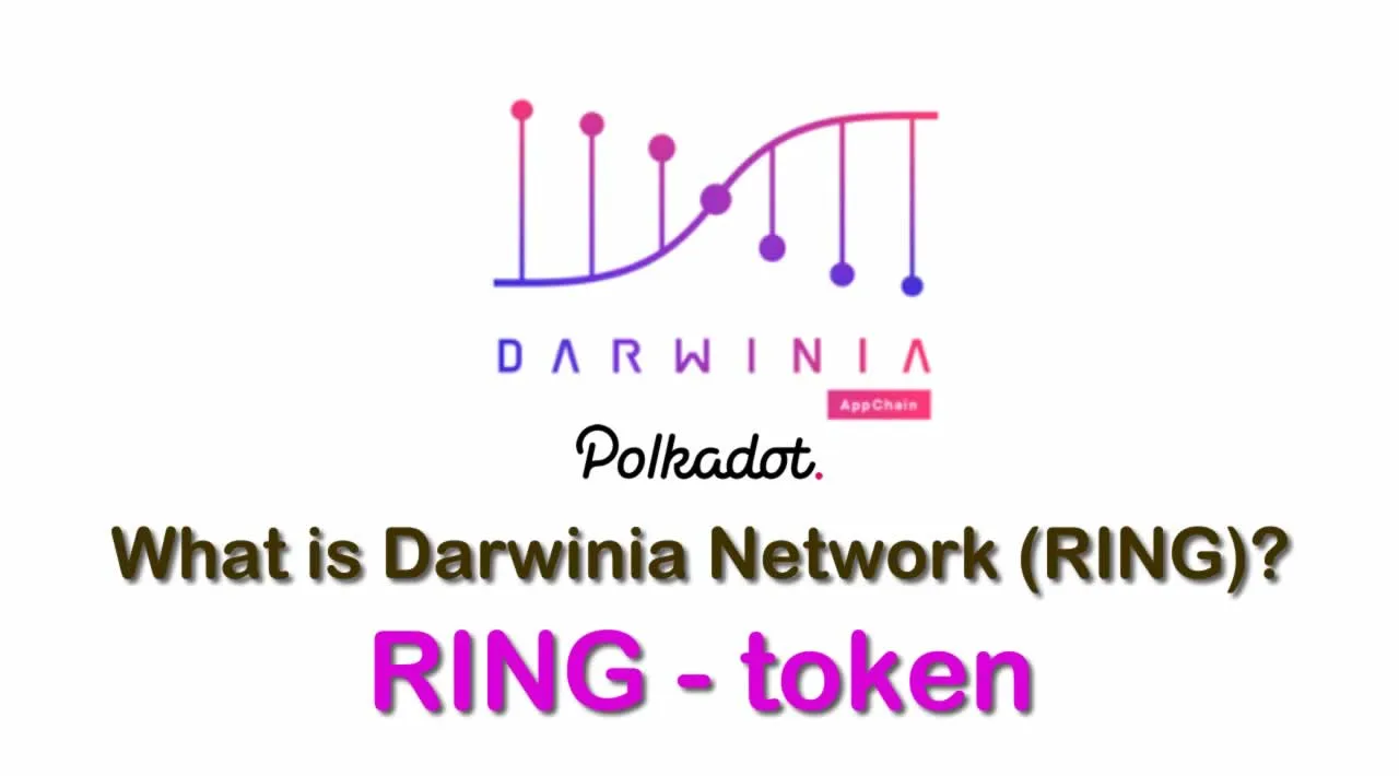 Darwinia App Referral Code